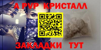 хмурый Кингисепп